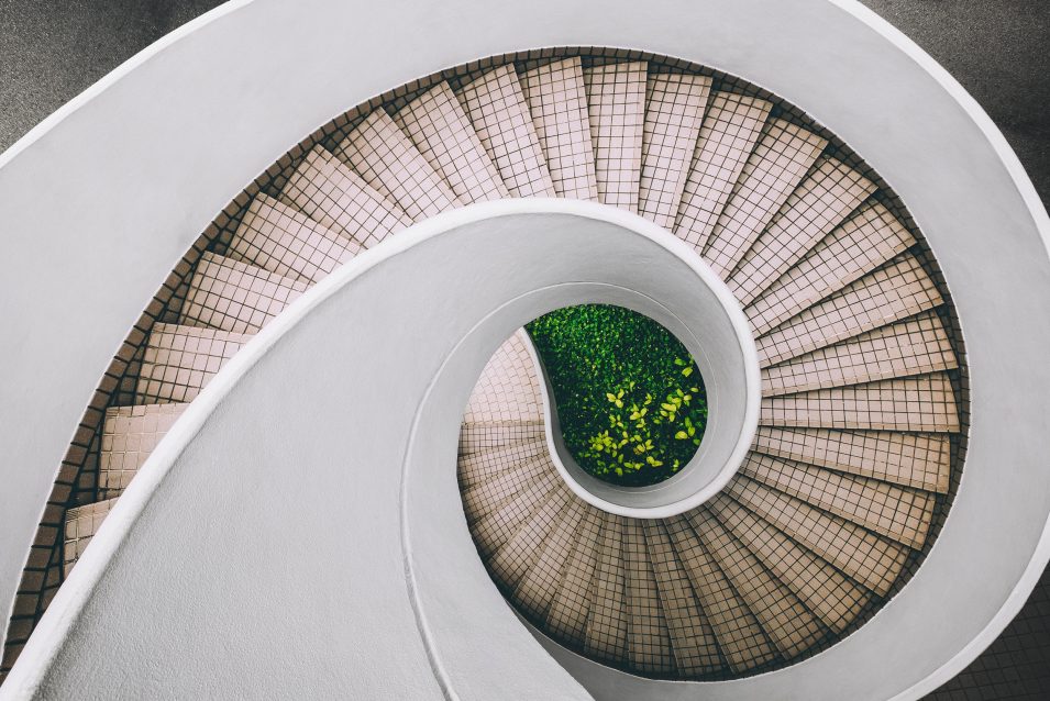 InspirED Global Fellowship: Moving Insights into Impact