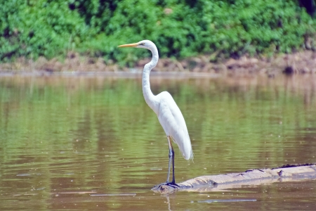 The University of Saint Joseph Macao (USJ) is receiving a Drop By Drop Project grant to research local water quality & the impact of climate change.