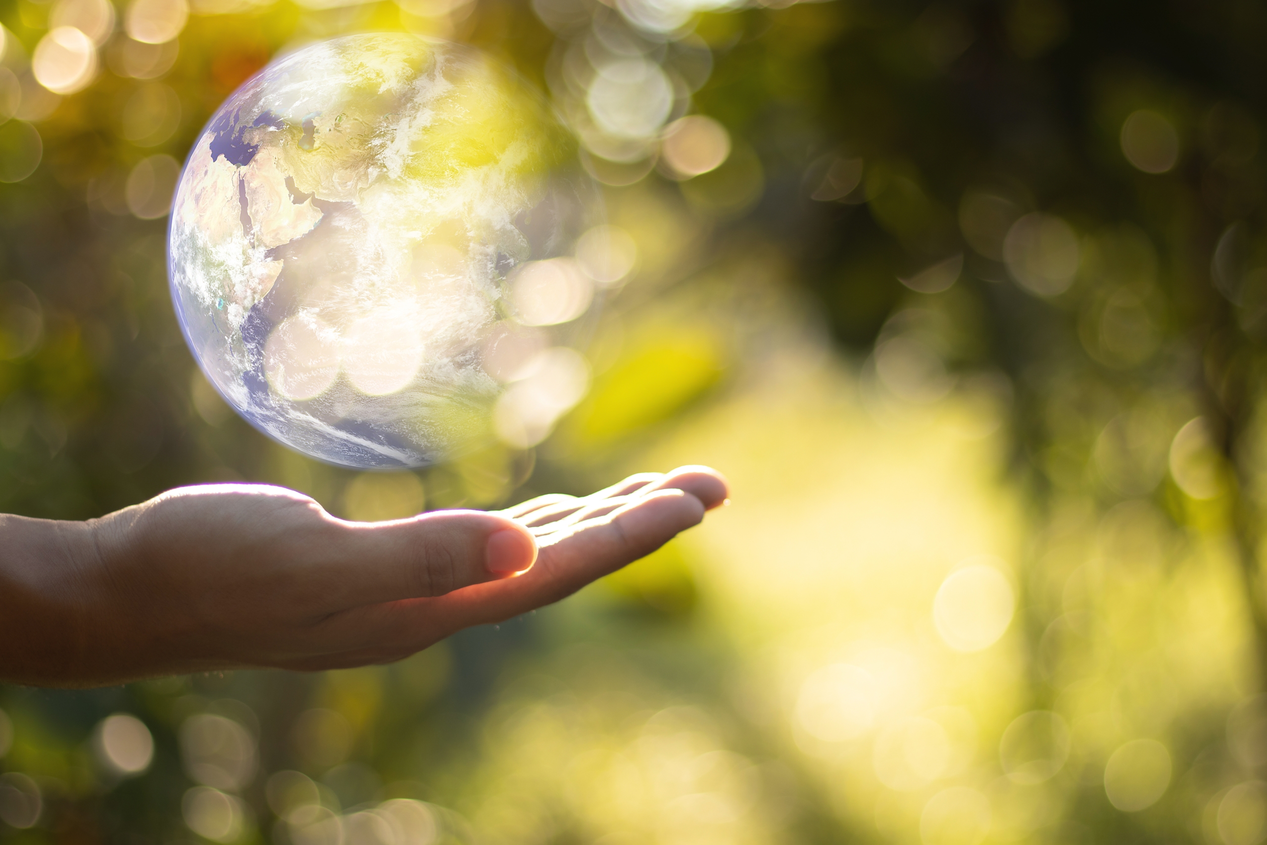 Ahead of Earth Day 2023, Sands reviews progress toward its environmental targets.
