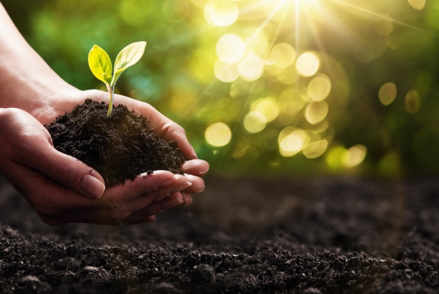 With the help from the Sands Cares Accelerator, Green Our Planet grows its hydroponics garden program to 200 schools in 33 states.