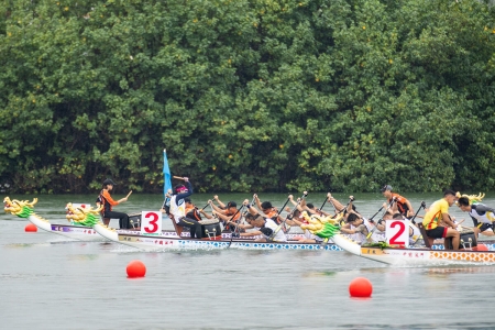 a dragonboat race team in action