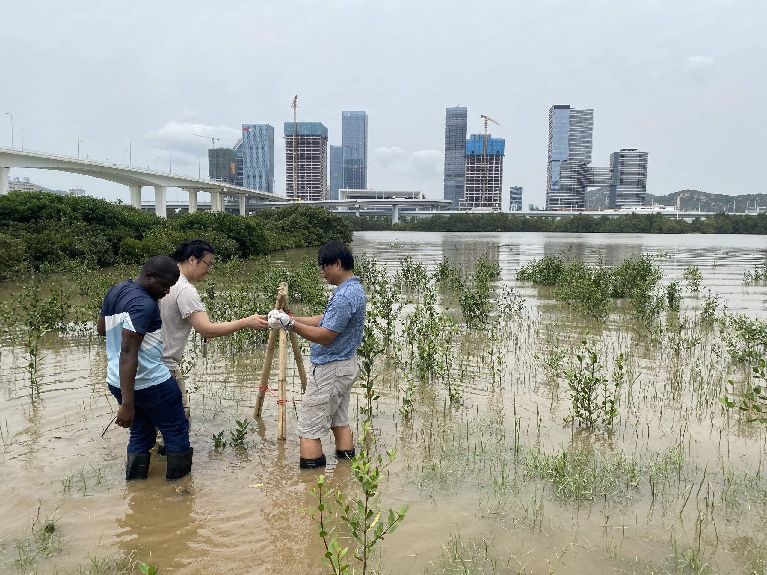 With funding from Sands, Drop by Drop Project grantees recently completed projects aimed at wetlands protection and water conservation education.