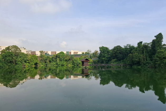 Marina Bay Sands contributes $1.1 million to the Mandai Wildlife Centre, Singapore’s newest rehabilitation facility for rescued native wildlife.