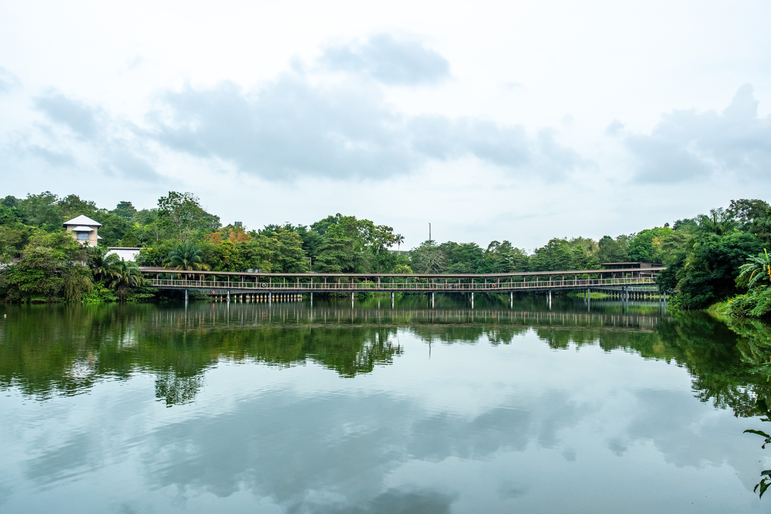 Marina Bay Sands contributes $1.1 million to the Mandai Wildlife Centre, Singapore’s newest rehabilitation facility for rescued native wildlife.